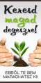 KMD - KERESD MAGAD DEGESZRE